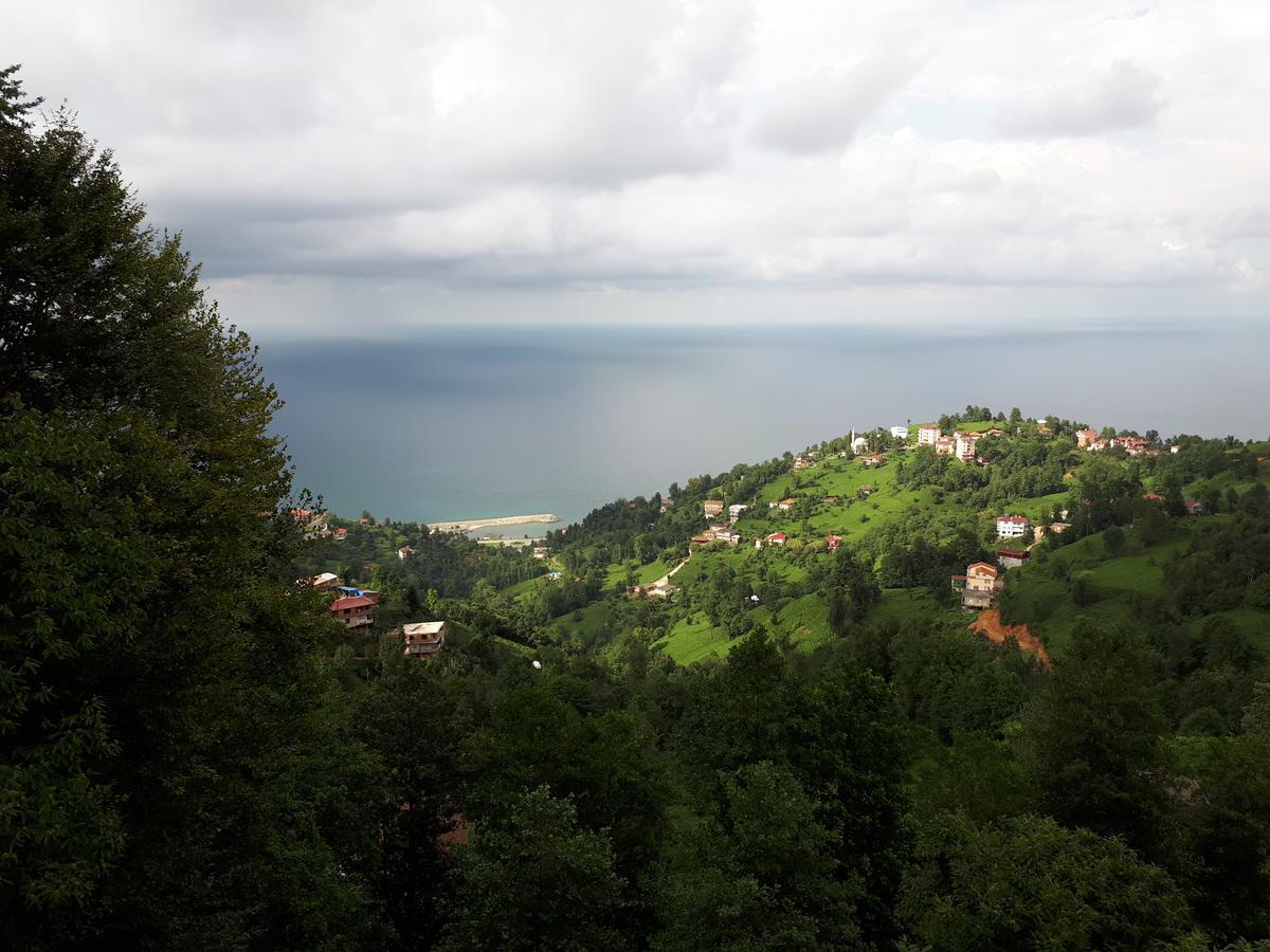 Hotel Kaf Dagi